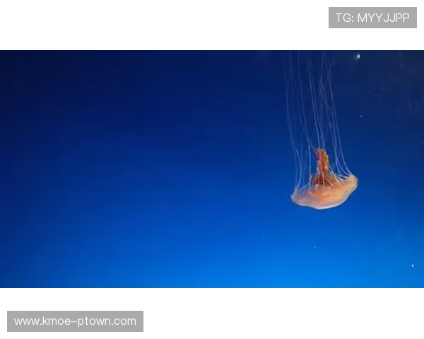 星空体育官方app下载官网注册登录完整流程解析